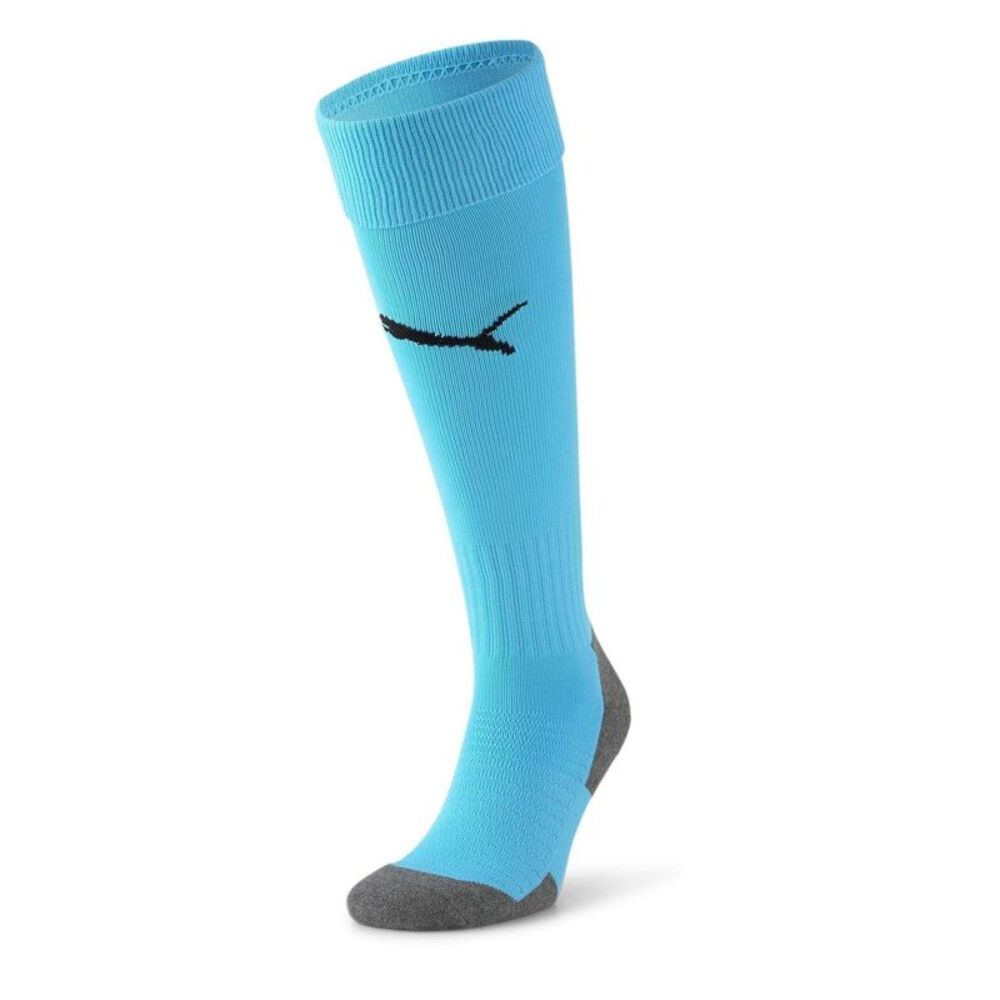 Puma Mens Team Liga Football Socks / Blue/Black